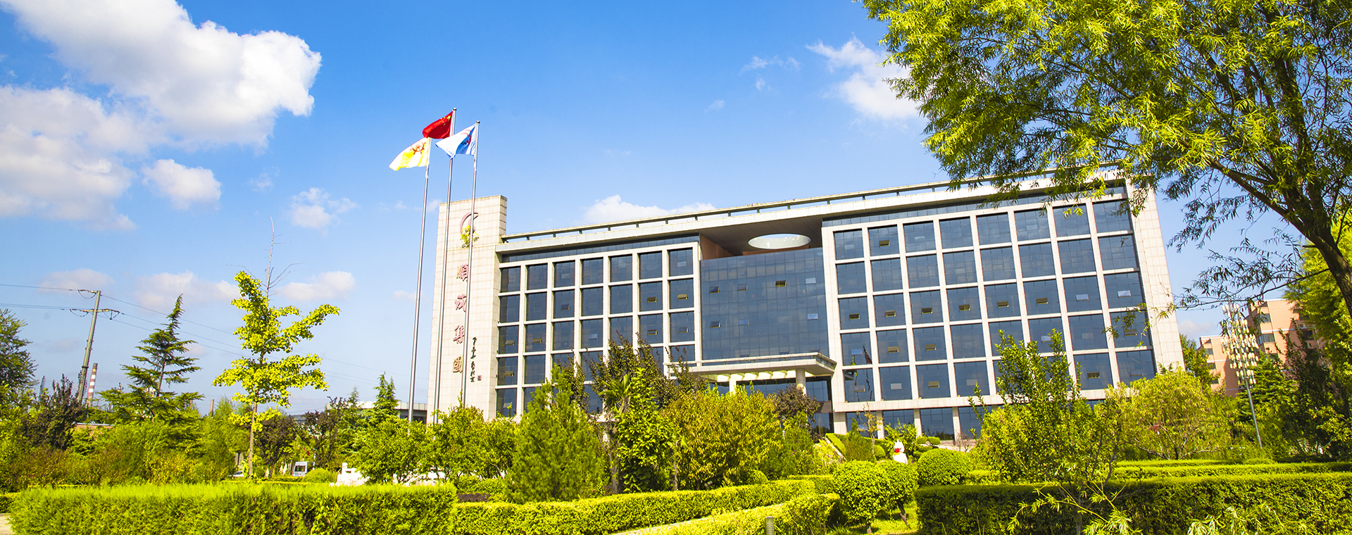 俏丽Stake官网